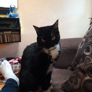 Meet your Posher, Kelli